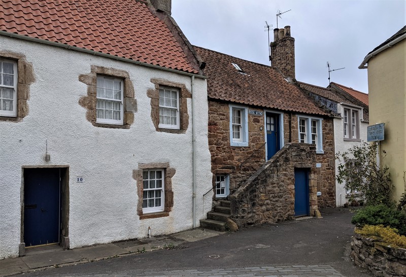 Rose-Wynd.jpg