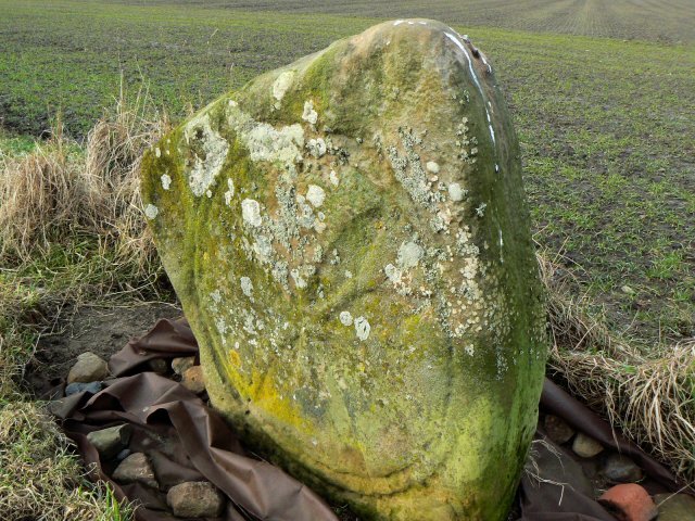 Skeith_stone_-_geograph.org.uk_-_1691644.jpg