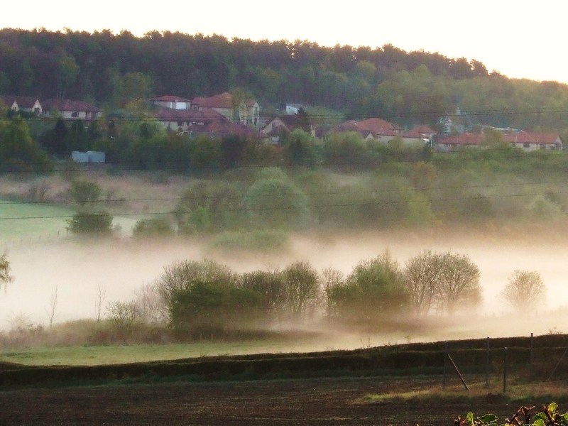 Townhill__Fife.jpg