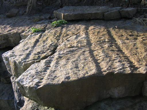 arthropleura_tracks.jpg